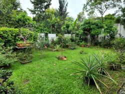 Frankel Estate (D14), Detached #529116391